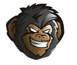 hsthead low quality for website